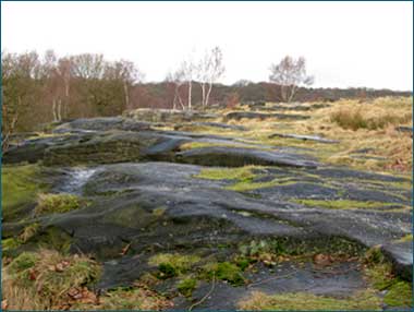 Shipley Glen