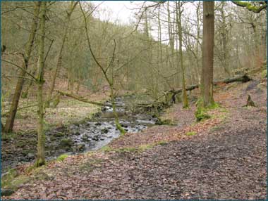 Shipley Glen