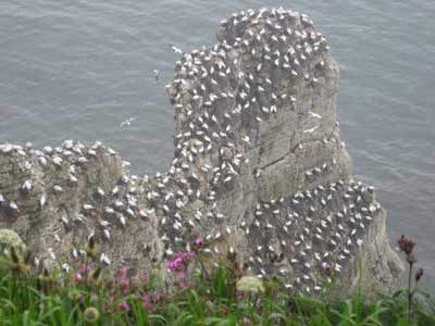 Flamborough old lighthouse