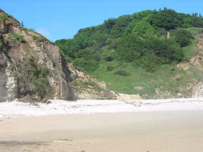 Southern end of dane's dyke, Flamborough