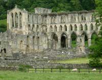 Rievaulx Abbey